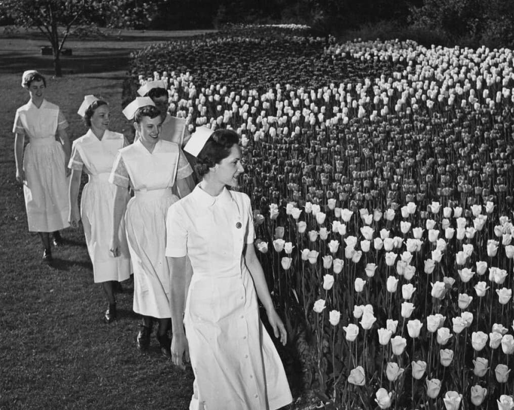 Civic Nurses at Tulip Festival