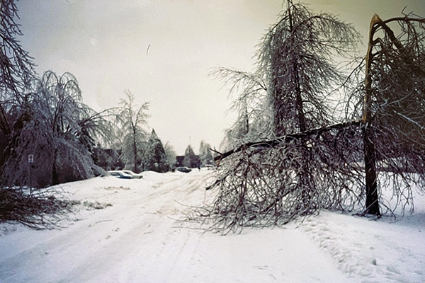 Ice Storm