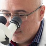 Dr. Daniel Coutu sits at a microscope