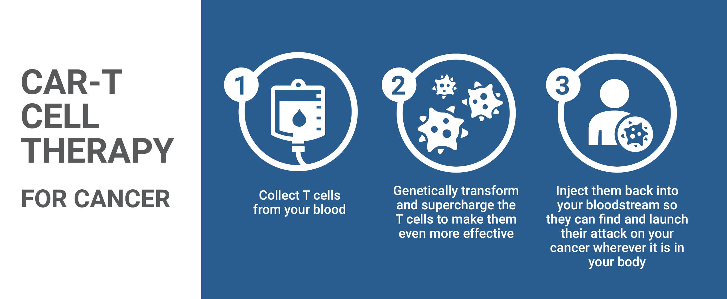 A graphic explaining how CAR-T works