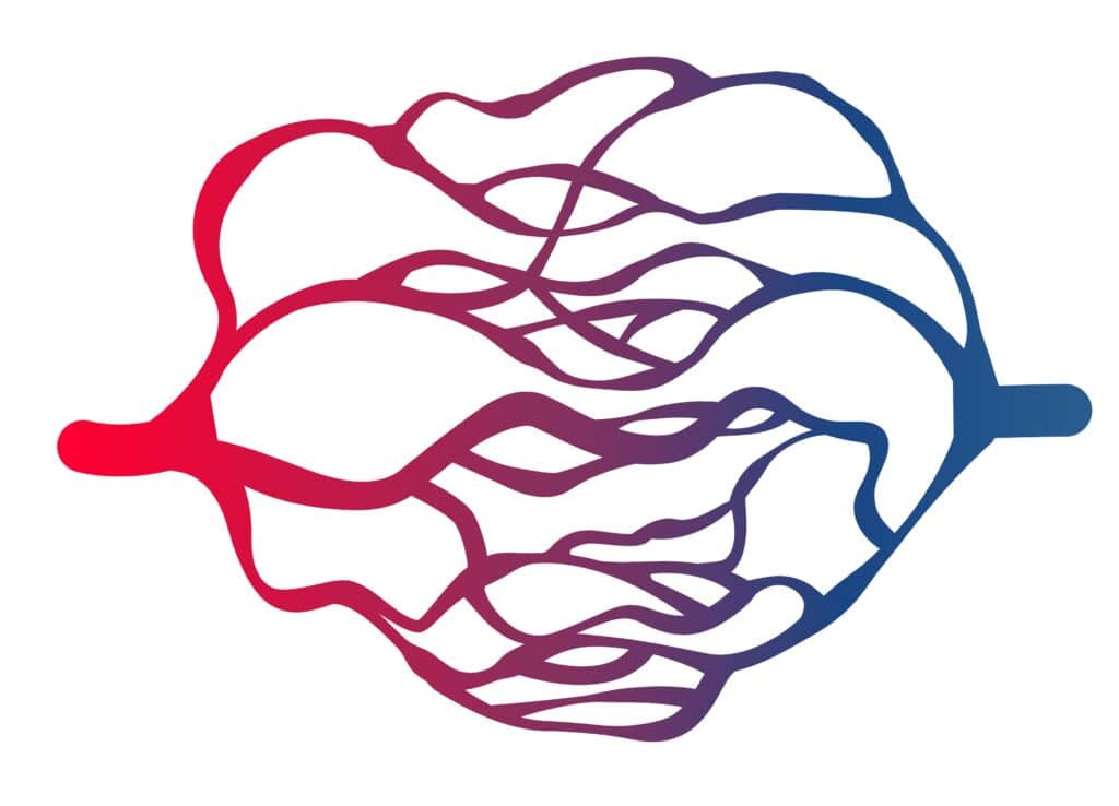 Normal blood vessels
