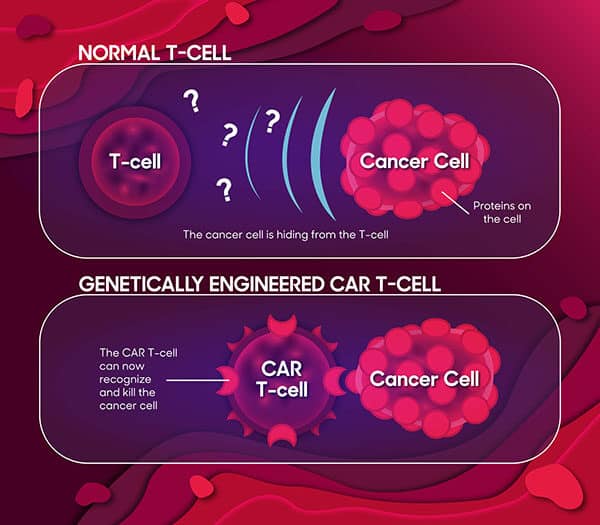 What is the difference between a T‑cell and a CAR T‑cell?