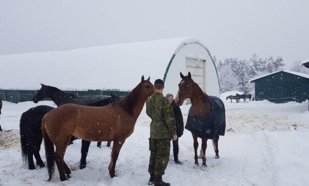 Chris Scharff Cole military PTSD support