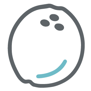 Coconut icon