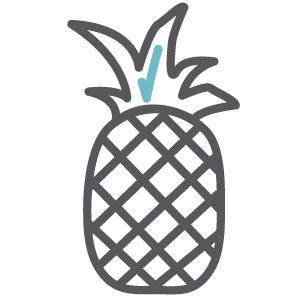 Pineapple icon