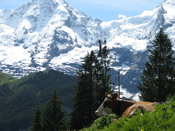 Swiss Alps.