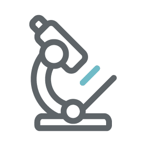 TOH Microscope Colour