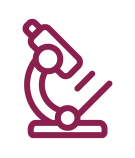 Word Leading Research icon