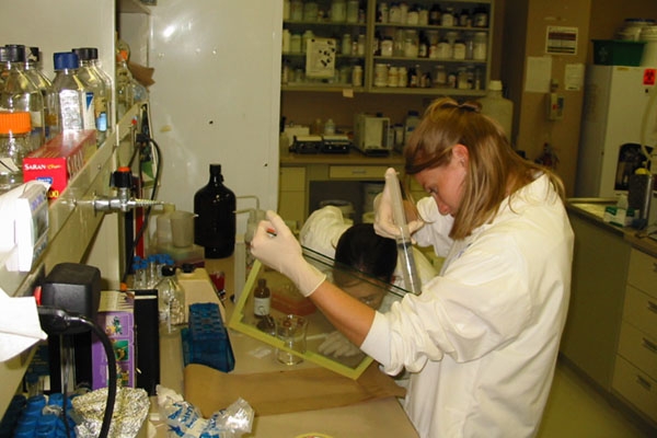 Dr. Tomlinson in the lab in 2003.